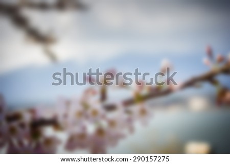 abstract blur Beautifully cherry blossom Black background of Mount Fuji. The concept of natural warm at the dawn of Spring.In Japan,