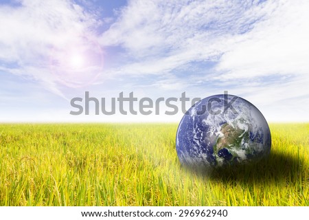 the planet on Rice field  The concept of keeping the campaign. On World Environment Day The space to insert text wherever you want : Elements of this image furnished by NASA