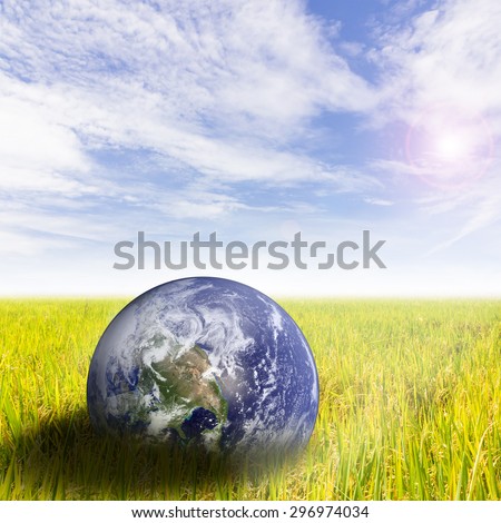 the planet on Rice field  The concept of keeping the campaign. On World Environment Day The space to insert text wherever you want : Elements of this image furnished by NASA
