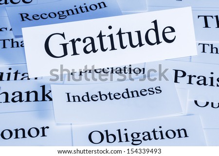 Gratitude Concept - a conceptual look at gratitude, indebtedness, recognition, obligation,