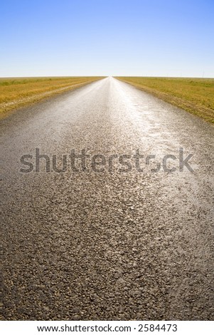 Surface of road is glowing from the light of the late afternoon sun, on this shot of a long straight road in rural Queensland. The light and the lines draw the eye towards vanishing point of road.