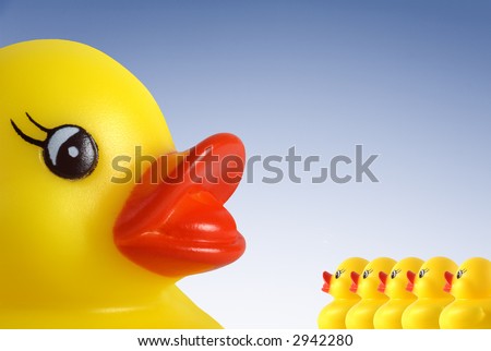 Five little rubber ducklings receiving lessons in life from giant size momma duck.