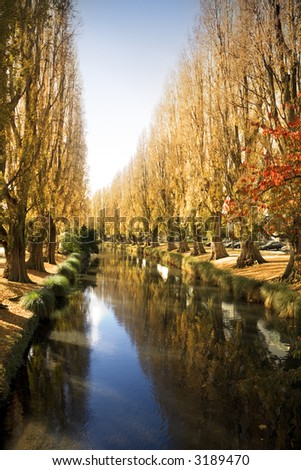 Autumn colour along the Avon River in Christchurch, New Zealand.