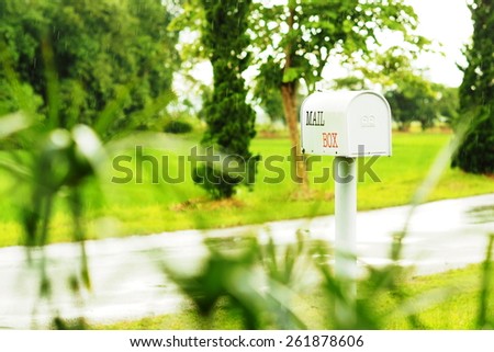 white mail box with green grass