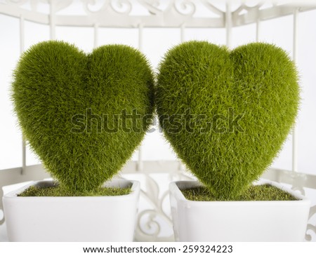 Two heart shaped moss plants in a cage