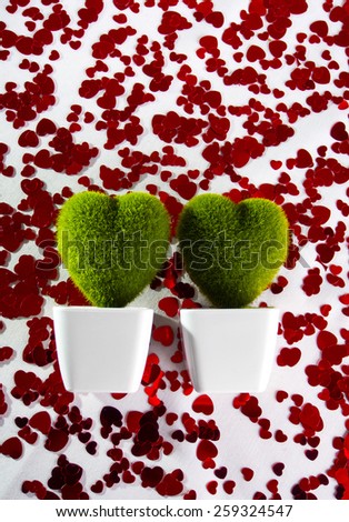 Two moss plants, shaped as love hearts on a bed of heart shaped sprinkles