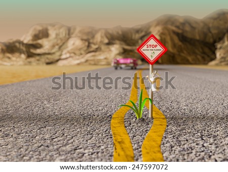 Illustrates the force of nature and fantastic achievements. Green plant growing on a deserted road. Vehicle drivers are asked to water the plant