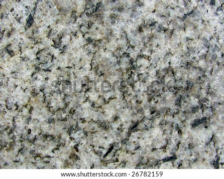 Black and white polished granite marble slab