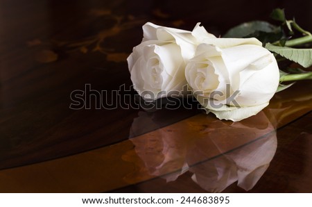 Two white roses on a wooden, dark table. The petals reflects on the surface.