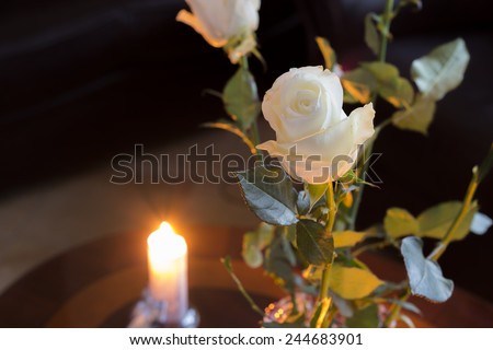 White rose in front of a candle.