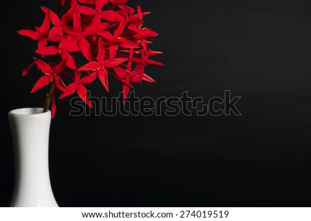 Red flowers in white vase.