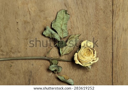 Dry rose decorated on wood for background decorations.