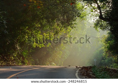 nice road / beautiful road / road with spot sunrise