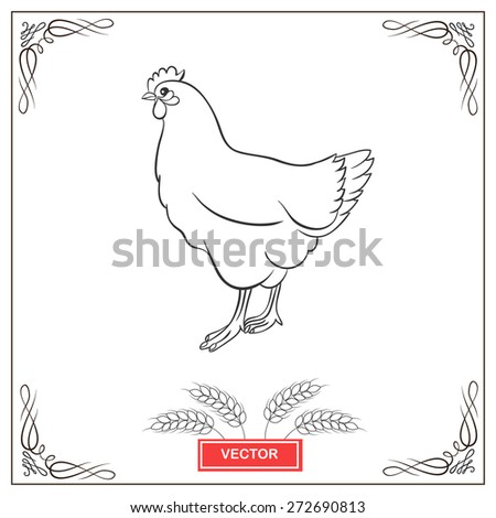 Vector  illustration of white chicken with frame design. Image of farm animal bird.