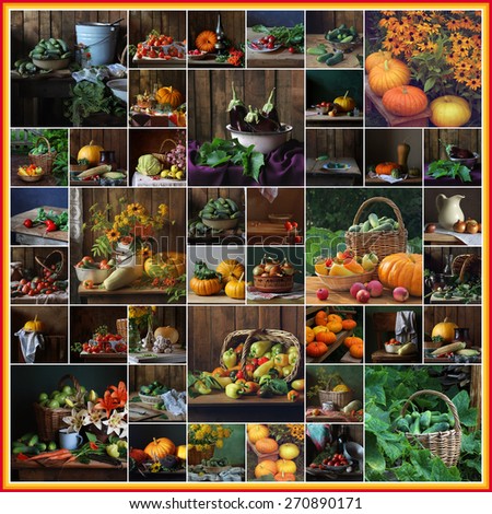 Collage from still lifes with vegetables: tomato, cucumber, onions, pepper, vegetable marrow, pumpkin, corn, carrots, potatoes, fennel, garden radish, eggplant.