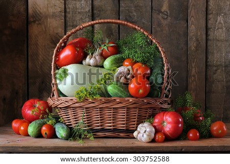 Basket with a vegetable marrow, cucumbers and tomatoes. A still life with cucumbers, tomatoes, a vegetable marrow, garlic and fennel. Vegetables in a basket. Salting of cucumbers and tomatoes.