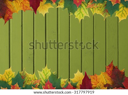 Background from the boards painted by green paint with autumn leaves from above and from below and a blank space for your text in the center.  Background, texture.
