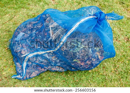 Bags and leaves for Recycling.