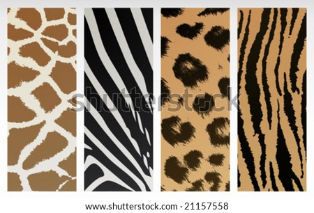 stock vector Animal print patterns of tiger leopard giraffe and zebra