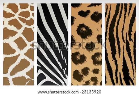 colorful animal print wallpaper. stock photo : Animal print