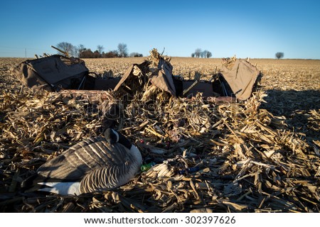 Canada goose decoy, game calls, and hunting blinds in a field in Wisconsin.