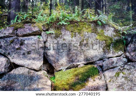 Old stone wall covered by moss and vegetation, Viborg, Russia. Lighting effects make image more attractive.