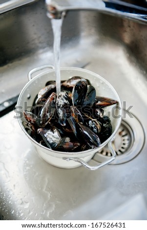 Fresh mussels shells being washed and prepared in kitchen sink.