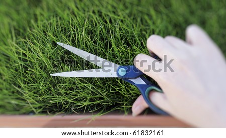 Women hand cutting the grass with a pair of scissors