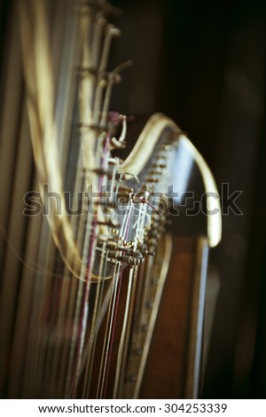 Beautiful detail of an ancient harp of last century. Accents are on the tuning pegs. Tilt shift lens used to accent the strings and sublime toned filter applied for more natural effect