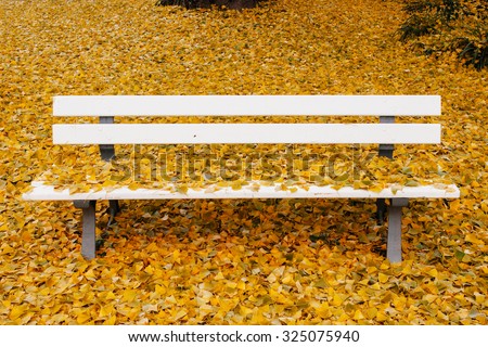 Ginkgo biloba or Maidenhair tree all over the bench in autumn park with yellow autumn leaves in abundance