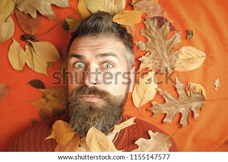 Hipster or bearded guy in autumn on orange background. Floral fashion and beauty. Season and autumn. Man with long beard in natural yellow fall leaves. leaves background at barber and hairdresser.