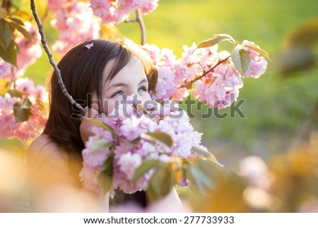 Cute brunette girl looking away standing amid pink japanese cherry bloom in broad daylight in the park copyspace, horizontal picture