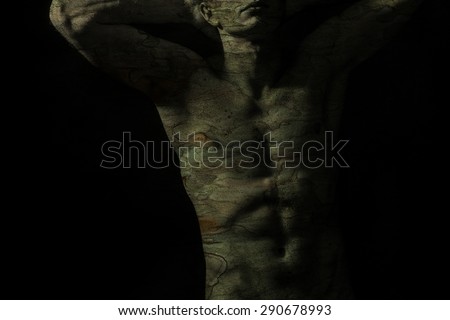Handsome shirtless fit man torso with bark texture