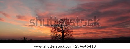 Majestic landscape of big bare tree on horizon line in sundown with colorful blue orange sky on natural background, vertical picture