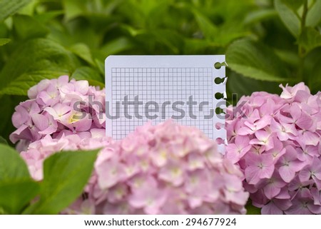 Blank paper piece from notepad in beautiful hydrangea flowers