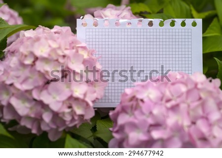 Blank paper piece from notepad in tender hydrangea flowers