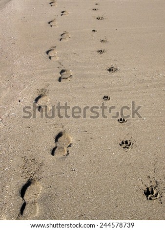 Traces of man and dog on the sand