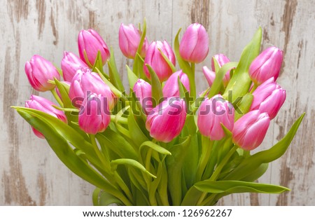 bunch of easter tulips