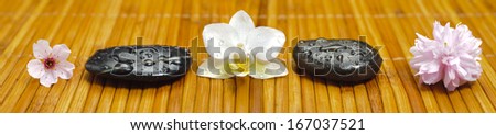 panorama of  japanese zen garden with stones and blooms in row