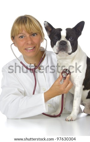 female vet doctor with dog boston terrier