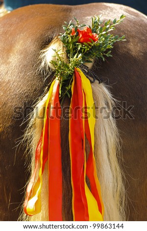 decorated horse tail