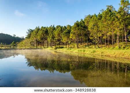 beautiful morning view reflection of pine forest in lake and fog