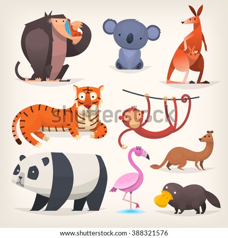 Set of popular colorful vector exotic animals and birds