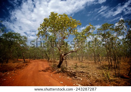 A red dirt road and blue sky make for a typical australian scene in Kakadu National Park, Northern Australia.