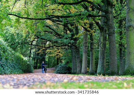 Amsterdam,Netherlands   October 30, 2015: Dutch lady with her bicycle walking in beautiful color of tree during autumn season in the park in  Amsterdam, Netherlands