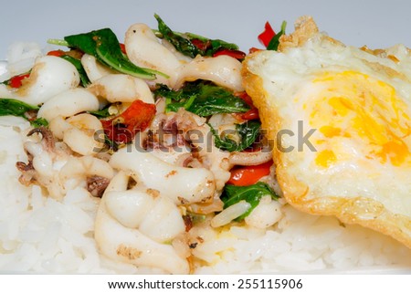 Basil fried rice, fried squid in a foam box ready to eat anywhere.