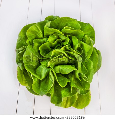 Butter lettuce salad isolated on white table
