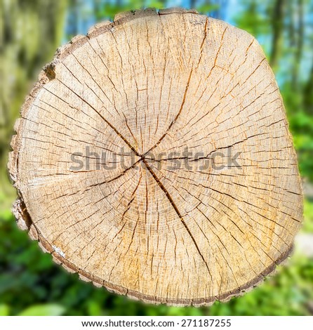 Timber texture and trunk on green grass blur background