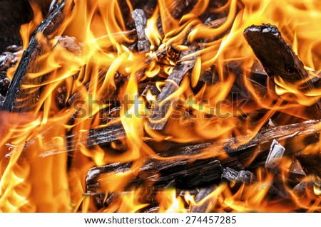 A lot of fire close in fireplace with burning wood, close up
