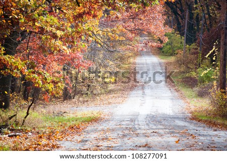 Autumn fall road surrounded by red and yellow leave trees